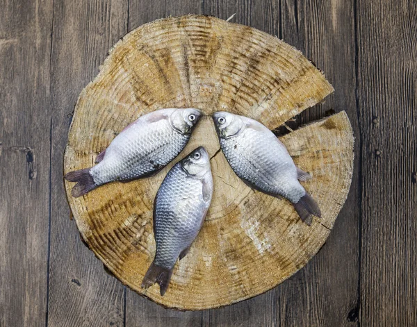 Carpa di pesce crudo fresco catturato sdraiato su un ceppo di legno. Pesci vivi crociati Carassius auratus gibelio . — Foto Stock