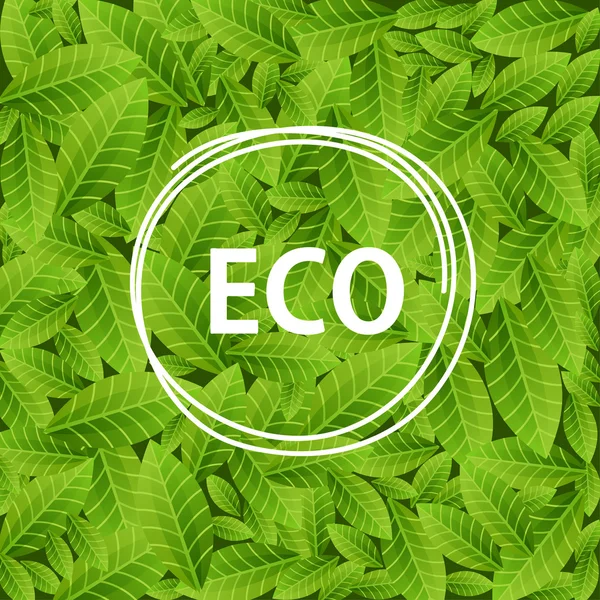 Green leaves background with word ECO in circle frame. Ecological concept. Vector illustration — 图库矢量图片