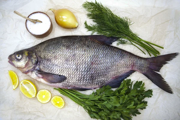 Un grande pesce vivo orata fiume pesce sdraiato su uno sfondo di carta con e fette di limone e con aneto sale — Foto Stock
