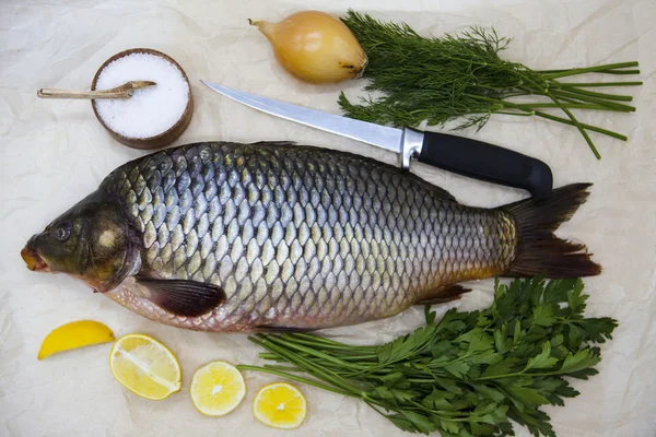 Una grande carpa fresca vive pesce sdraiato su uno sfondo di carta con un coltello e fette di limone e con aneto sale — Foto Stock