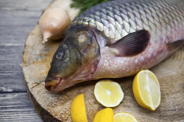 Fresh raw fish carp caught lying on a wooden stump with a knife and slices of lemon and with salt dill. Live fish crucian Carassius auratus gibelio. — Stock Photo, Image