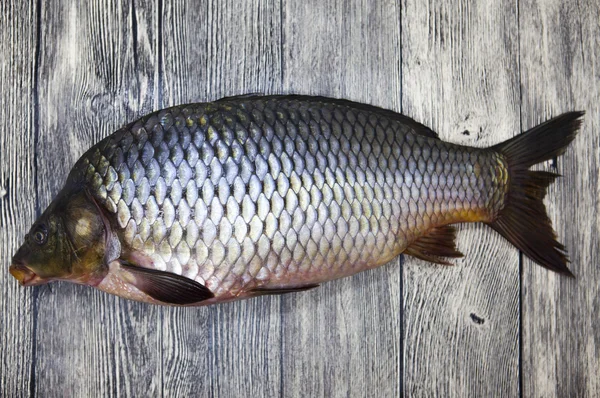 Un grande pesce vivo di carpa fresca sdraiato su una tavola di legno — Foto Stock