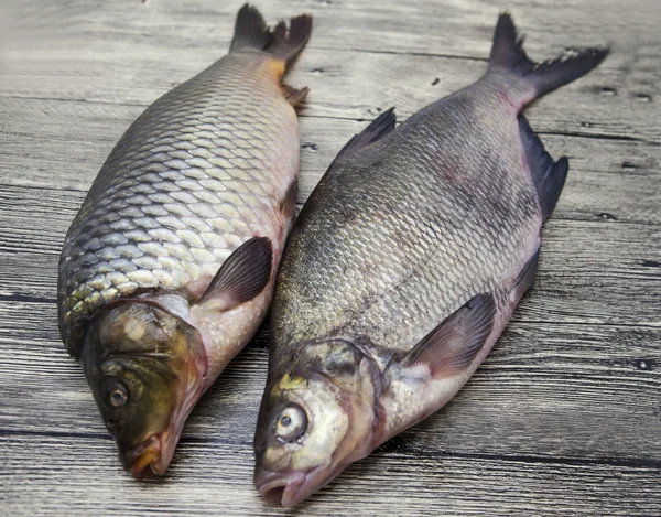 Zwei große, frische Karpfen lebende Fische liegen auf einem Holzbrett — Stockfoto