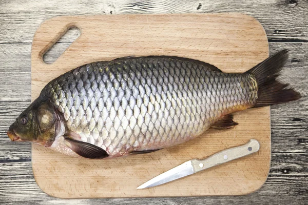 Un grande pesce vivo di carpa fresca sdraiato su una tavola di legno con un coltello . — Foto Stock