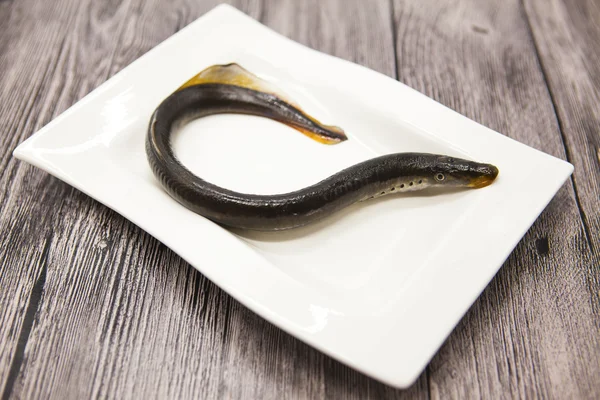 Fresh live fish lamprey on porcelain plate with lemon. — Stock Fotó