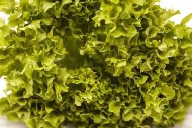 Yeşil taze marul salatası bağlama kapatın. Modern insan için en iyi sağlıklı kahvaltı.