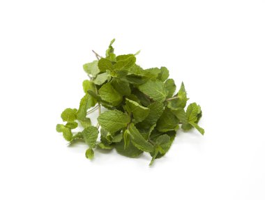 Taze parlak sulu yaprakları nane beyaz bir arka plan üzerinde.
