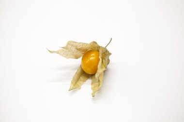 Cape bektaşi üzümü beyaz zemin üzerine taze berry.