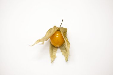 Cape bektaşi üzümü beyaz zemin üzerine taze berry.