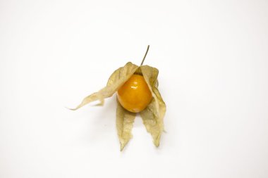 Cape bektaşi üzümü beyaz zemin üzerine taze berry.