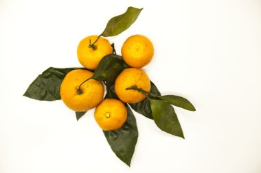 Taze sulu lezzetli Sicilya mandalina beyaz zemin üzerinde bir yeşillik şubesi ile.