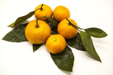 Taze sulu lezzetli Sicilya mandalina beyaz zemin üzerinde bir yeşillik şubesi ile.