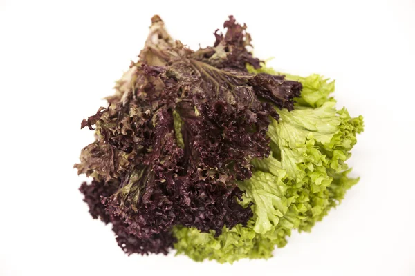Green fresh bunch of a lollo rosso and lettuce  on a white background. The best healthy breakfast for the modern person — Stock Photo, Image