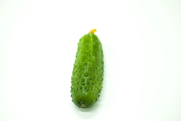 Fresh appetizing tasty cucumber on a white background. — Stock Photo, Image