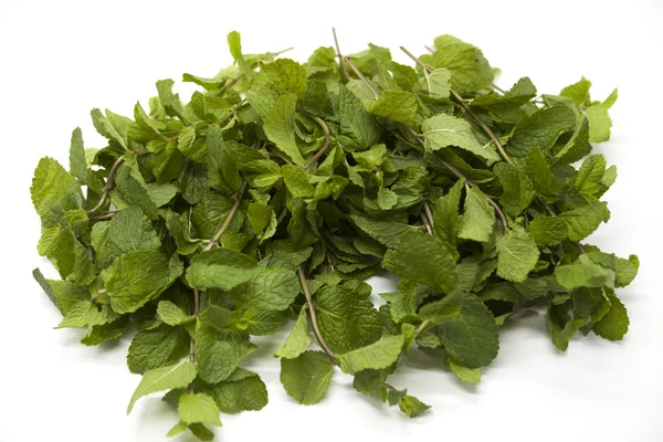 Fresh bright juicy leaves of mint on a white background. — Stock Photo, Image