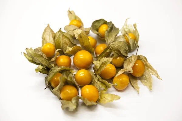 Fresh berry of cape goose berries on a white background. — Stock Photo, Image