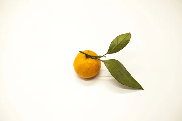 Frische saftige, schmackhafte sizilianische Mandarine mit einem Blattzweig auf weißem Hintergrund. — Stockfoto