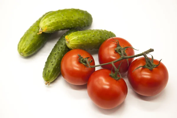 Rama fresca de tomates y pepinos maduros sicilianos rojos sobre un fondo blanco — Foto de Stock
