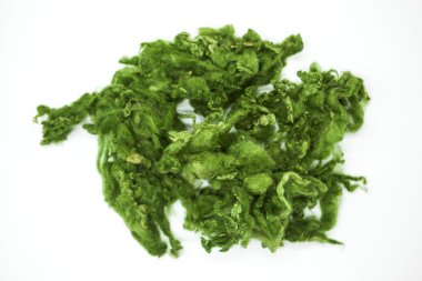 Beyaz bir arka plan Avustralya koyun yünü Merinos doğurmak yakın çekim yeşil parça