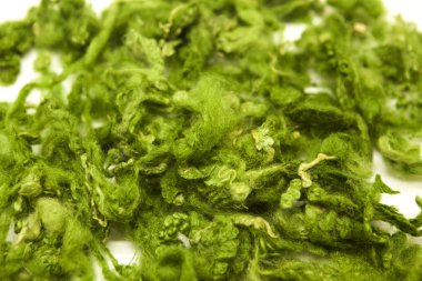 Beyaz bir arka plan Avustralya koyun yünü Merinos doğurmak yakın çekim parlak yeşil parça