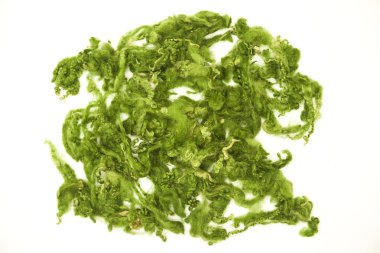 Beyaz bir arka plan Avustralya koyun yünü Merinos doğurmak yakın çekim parlak yeşil parça