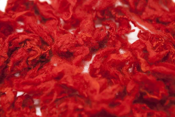澳大利亚绵羊羊毛美利诺绵羊品种特写白色背景上红一块 — 图库照片