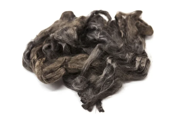 Arsenic gray piece of Australian sheep wool Merino breed close-up on a white background — Stock Photo, Image