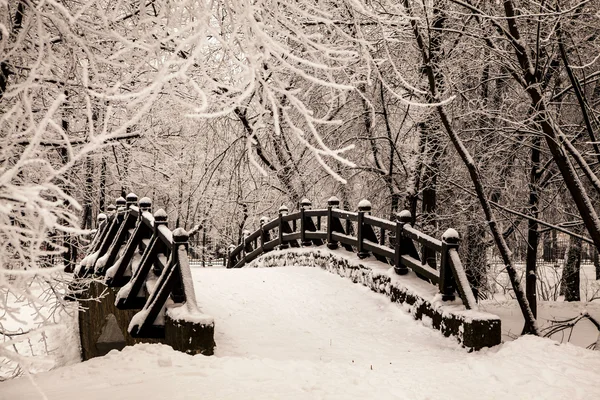 Beautiful old stone bridge of  winter forest in the snow at sunset frosty days. Trees covered in frost and snow.