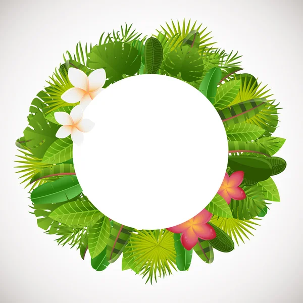 Tropical leaves frame. Floral jungle design background. Palm, banana, frangipany, monstera, strelitzia leaves — ストックベクタ