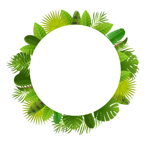 Tropical leaves frame. Floral jungle design background. Palm, banana, frangipany, monstera, strelitzia leaves — Stockový vektor
