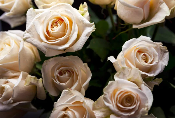 Ένα όμορφο μπουκέτο από ροζ τριαντάφυλλα, γκρο πλαν. — Φωτογραφία Αρχείου