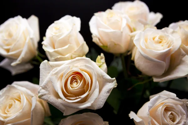 Um lindo buquê de rosas rosa, close-up . — Fotografia de Stock