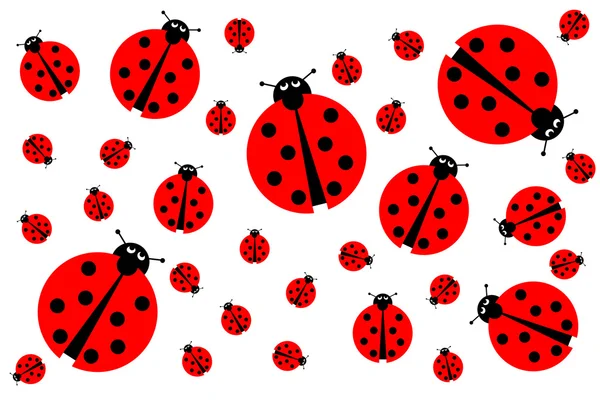Many Ladybugs — Stock Photo, Image