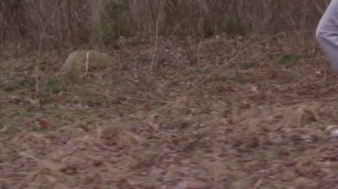 ağır çekim. parkta çalıştıran atlet.