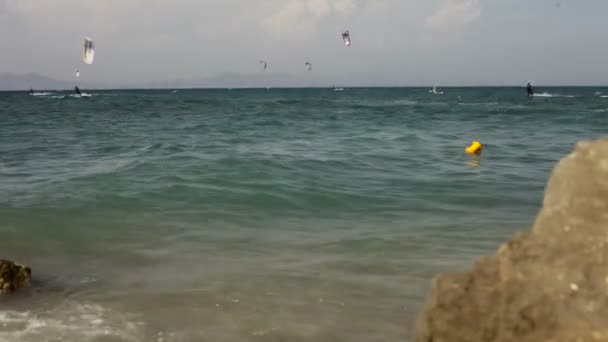 Kitesurfers rijden op het strand. — Stockvideo