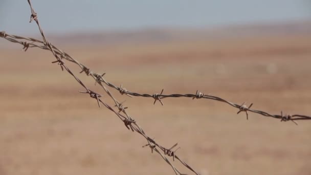 Fil barbelé. Balades en réservoir dans le désert .