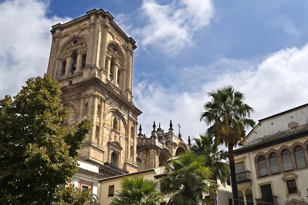 Granada Cathedral of the Incarnation — Stock Photo, Image