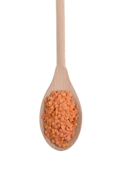 Dry Red Lentils — Stock Photo, Image