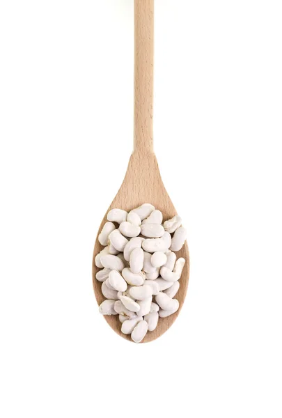 Dry White Beans — Stock Photo, Image