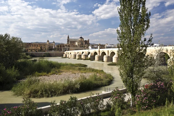 Ponte romano di Cordova — Foto Stock