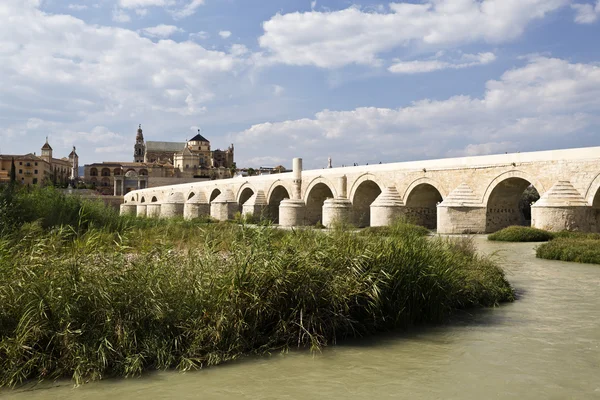 Ponte romano di Cordova — Foto Stock