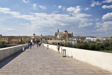 Cordoba Roma köprüsü
