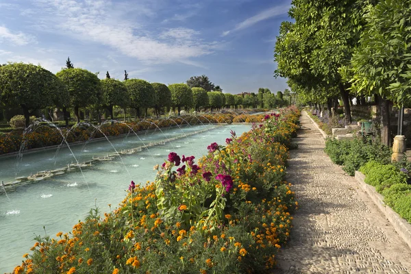 Jardins de Cordoue Alcazar — Photo