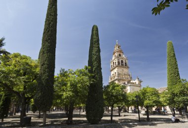 Cordoba Katedrali çan kulesi