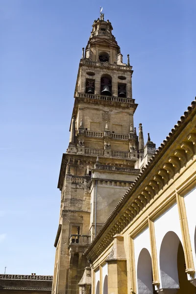 Glockenturm der Kathedrale von Cordoba — Stockfoto