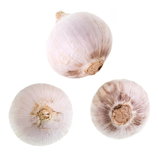 Single Clove Garlic — Stock Photo, Image
