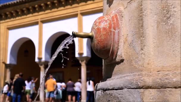 Cordoba Meczet fontanna — Wideo stockowe