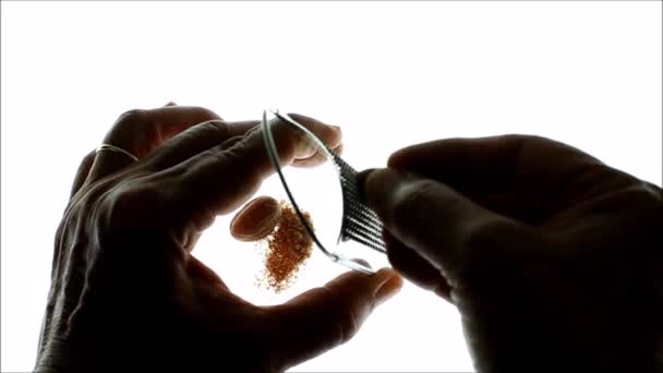 Mříž muškátový oříšek semena koření — Stock video