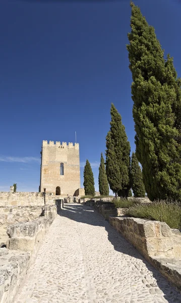 Fortaleza de La Mota — Stock fotografie