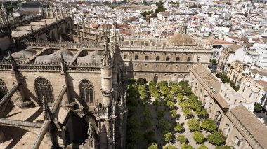 View of the Cathedral of Seville clipart